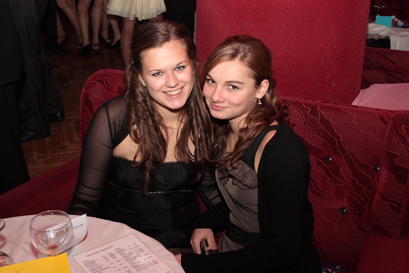 Silvestrovsk plesn