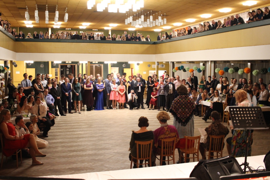 Silvestrovsk plesn